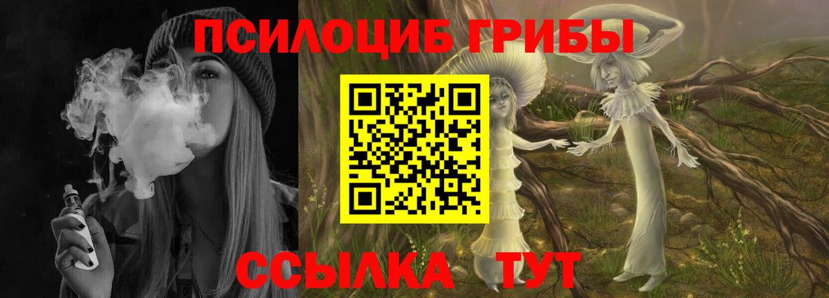Ивантеевка  Псилоцибиновые грибы Cubensis  Галлюциногенные грибы мицелий  Вход с VPN 